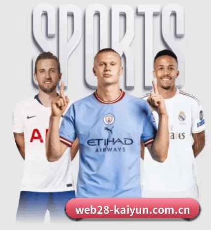 开云app免费下载安装的故事