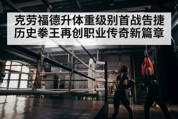 boxer training